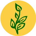 Biocarve