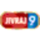 Jivraj9 Tea