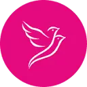 Twin Birds